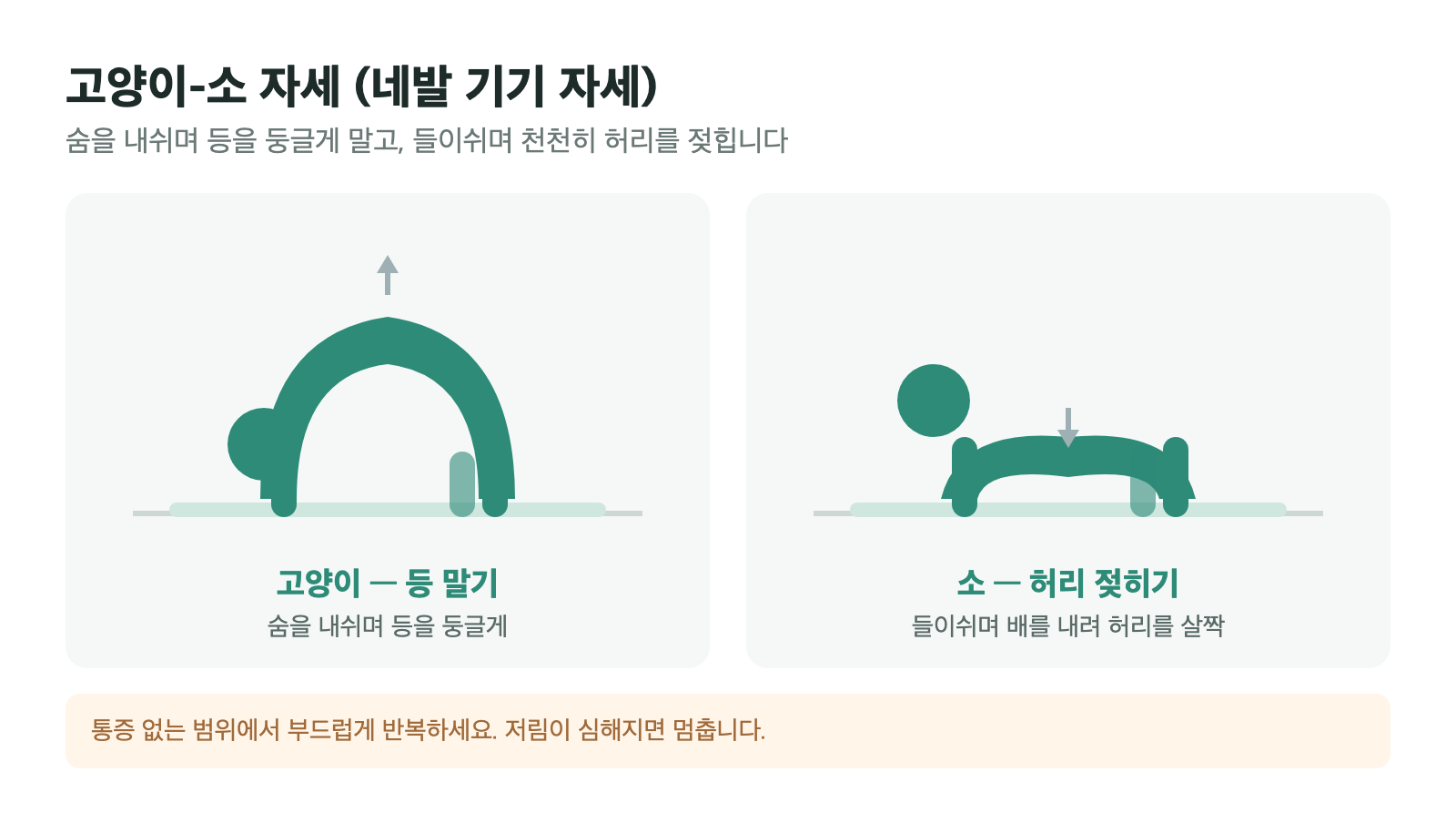 네발 기기 자세에서 등을 둥글게 말았다가 허리를 살짝 젖히는 고양이-소 스트레칭 두 동작 일러스트