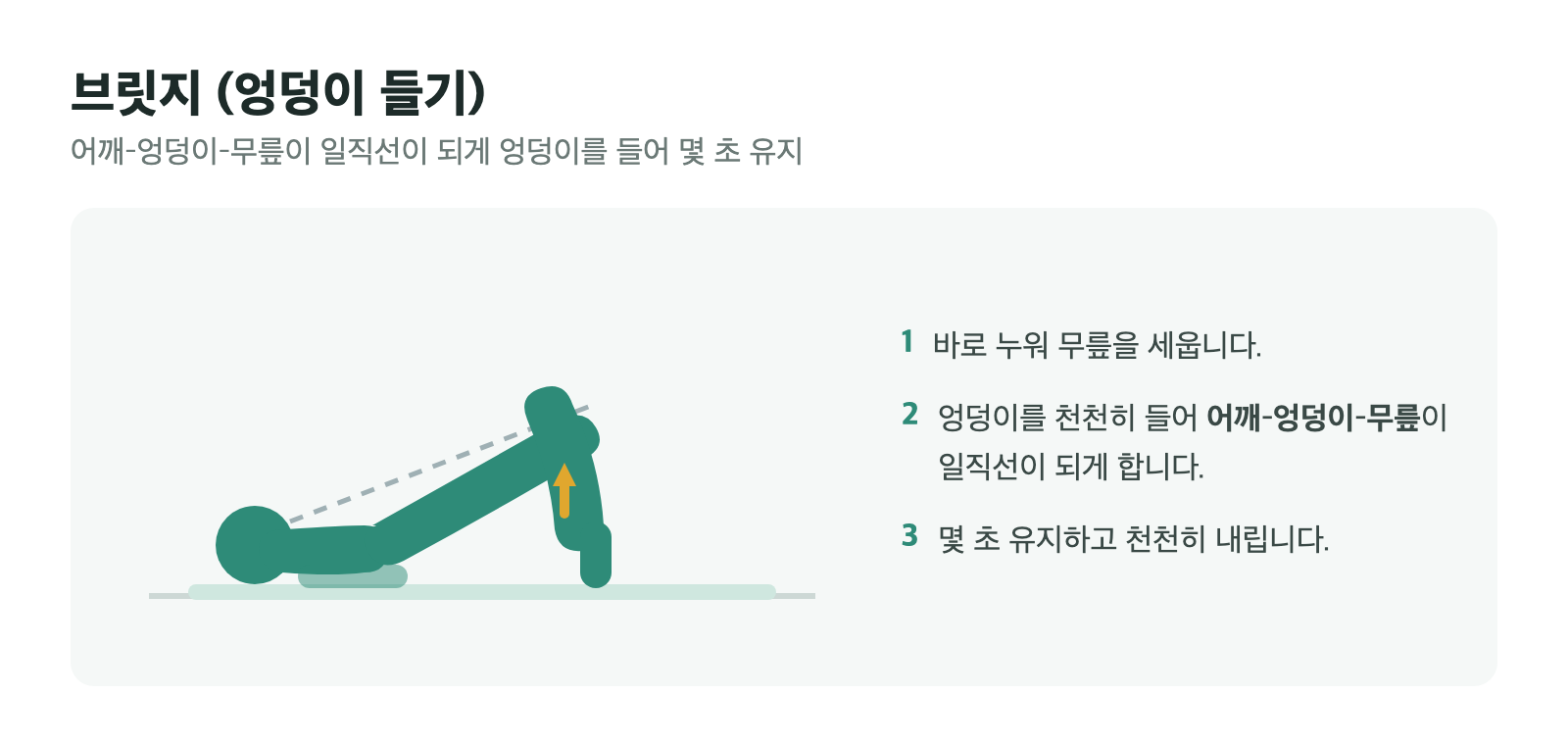 바로 누워 무릎을 세우고 엉덩이를 들어 어깨-엉덩이-무릎을 일직선으로 만드는 브릿지 동작 일러스트