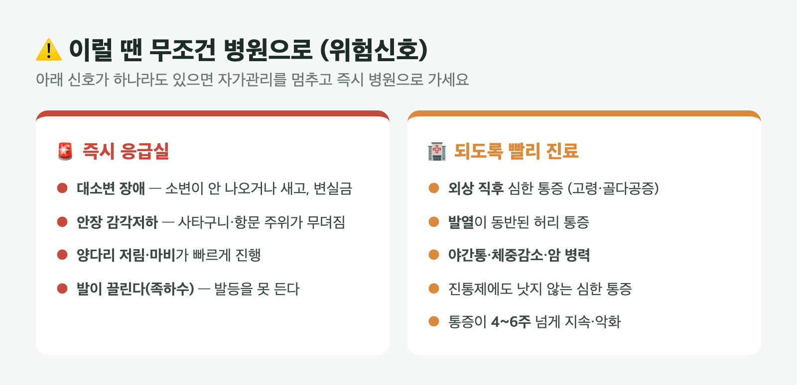 대소변 장애·안장 감각저하 등 즉시 응급실 신호와 외상·발열·야간통 등 빠른 진료 신호를 구분한 위험신호 요약 카드