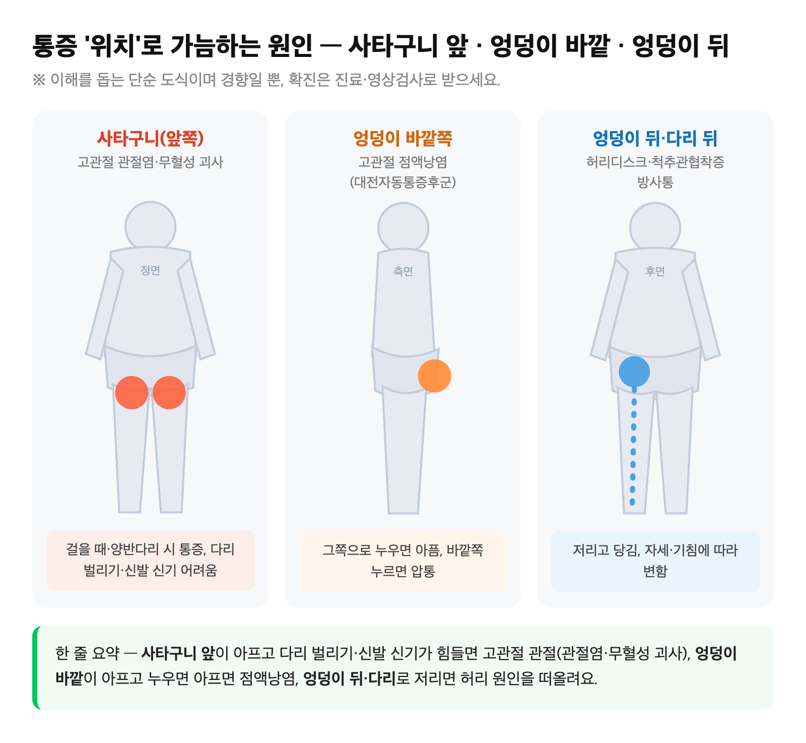 사타구니 앞쪽(고관절 관절염)·엉덩이 바깥쪽(점액낭염)·엉덩이 뒤(허리 원인) 통증 위치를 인체 그림 위에 색으로 구분해 비교한 도식