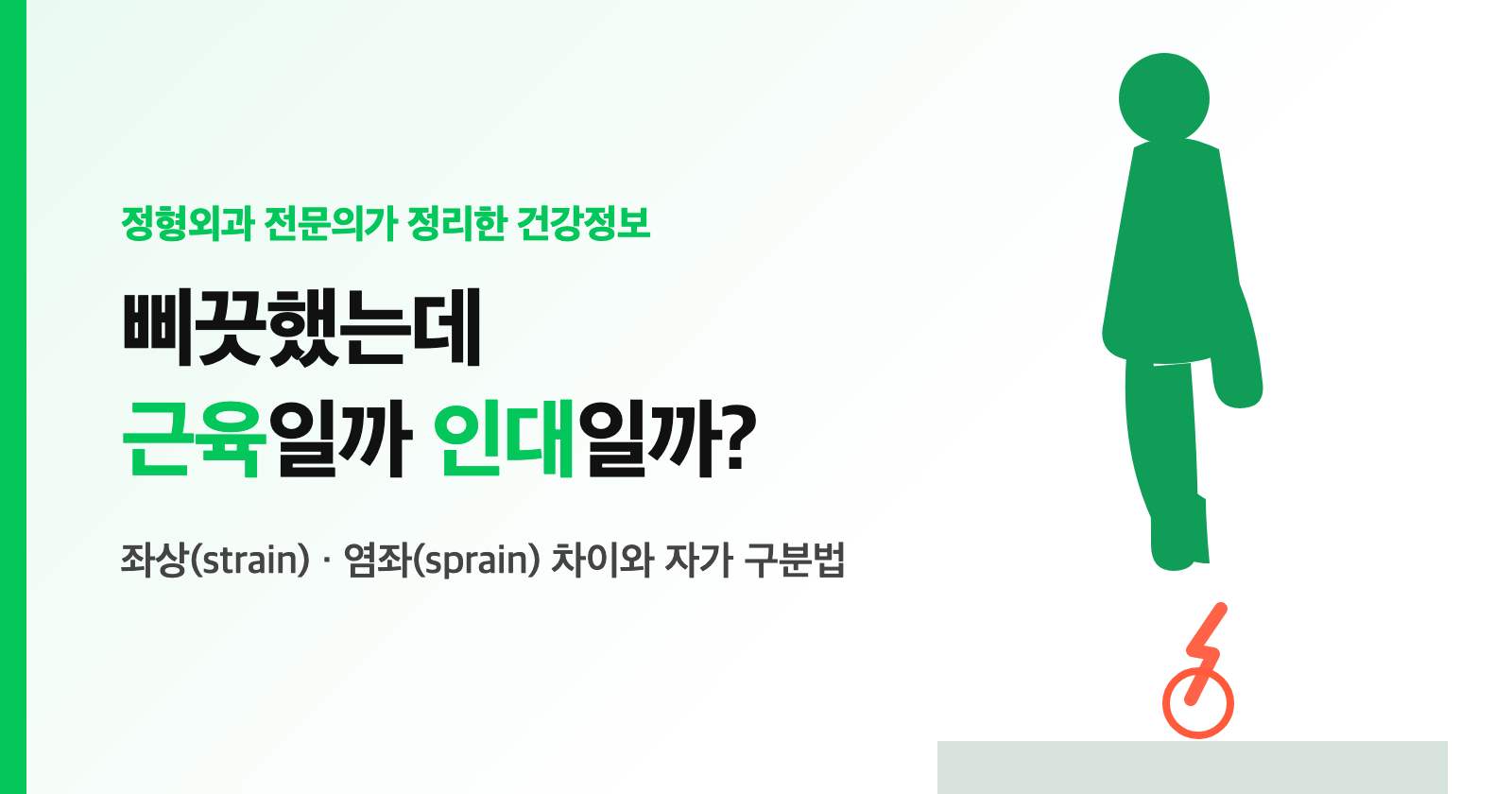 삐끗했는데 근육일까 인대일까? 좌상·염좌 차이와 자가 구분법 (멍·붓기로 보기)