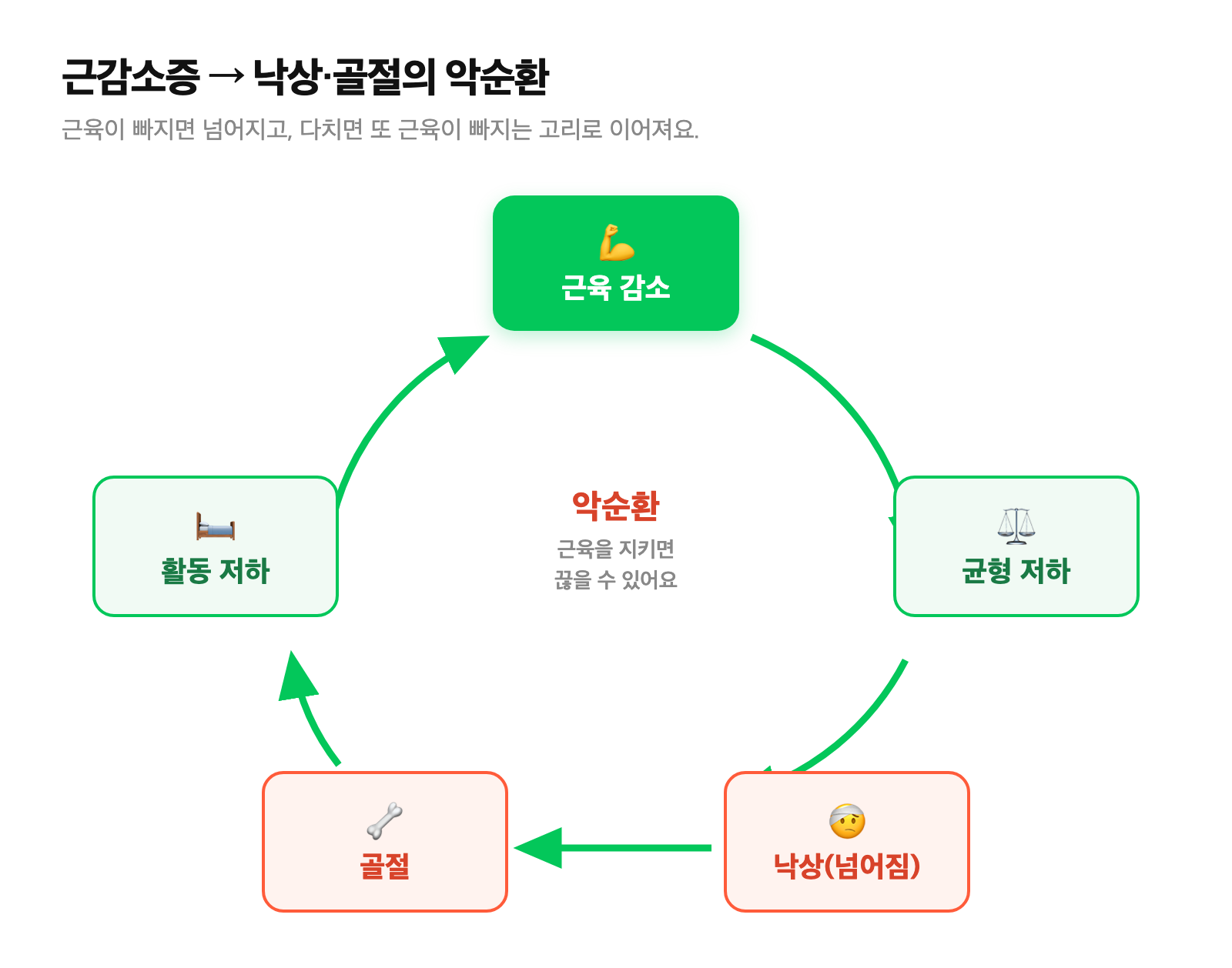 근육 감소에서 균형 저하, 낙상, 골절, 활동 저하를 거쳐 다시 근육 감소로 이어지는 악순환을 보여주는 원형 다이어그램